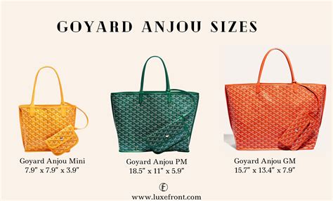 goyard anjou pm vs gm|anjou vs goyardine tote.